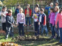 Kis "kertészeink"