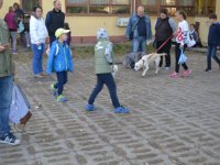 Állatok Világnapja