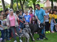 Madarak és fák napja