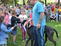 Madarak és fák napja