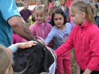 Madarak és fák napja