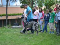 Madarak és fák napja