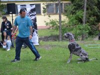 Madarak és fák napja