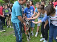 Madarak és fák napja