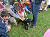 Madarak és fák napja