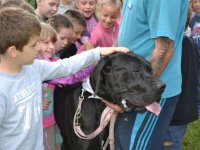 Madarak és fák napja