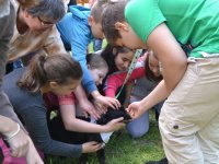 Madarak és fák napja