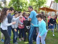 Madarak és fák napja