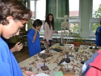 Kutatók éjszakája