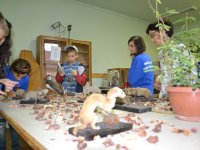 Kutatók éjszakája