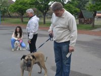 Madarak és fák napja