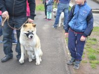 Madarak és fák napja