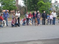 Madarak és fák napja