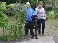 Madarak és fák napja