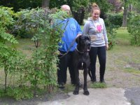 Madarak és fák napja