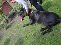 Madarak és fák napja