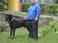 Madarak és fák napja