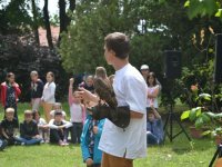 Madarak és fák napja