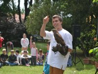 Madarak és fák napja