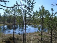 "Határtalanul"-Erdély