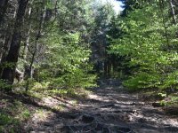 "Határtalanul"-Erdély