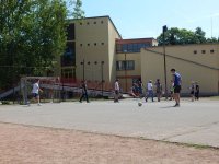 Madarak és fák napja