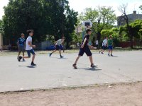 Madarak és fák napja