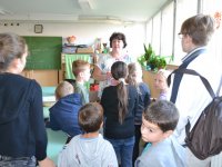 Állatok Világnapja