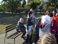 Állatok Világnapja