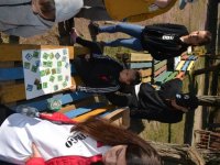 Állatok Világnapja