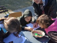 Állatok Világnapja