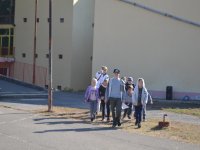 Állatok Világnapja